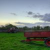 Massey Ferguson 265 Tractor Massey Ferguson 265 Tractor